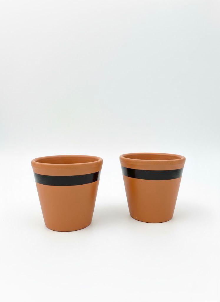 Earthen Clay Cup (Set of 2)